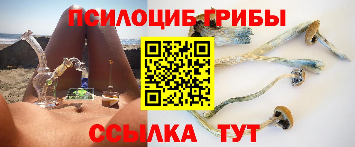Псилоцибиновые грибы Magic Shrooms Карпинск